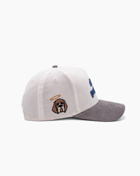 All Dogs Go To Heaven | 5-Panel Hat | White & Gray