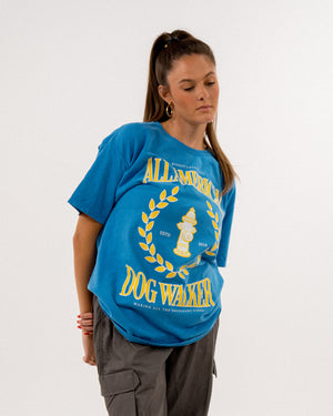 All American Tee | Blue & Gold