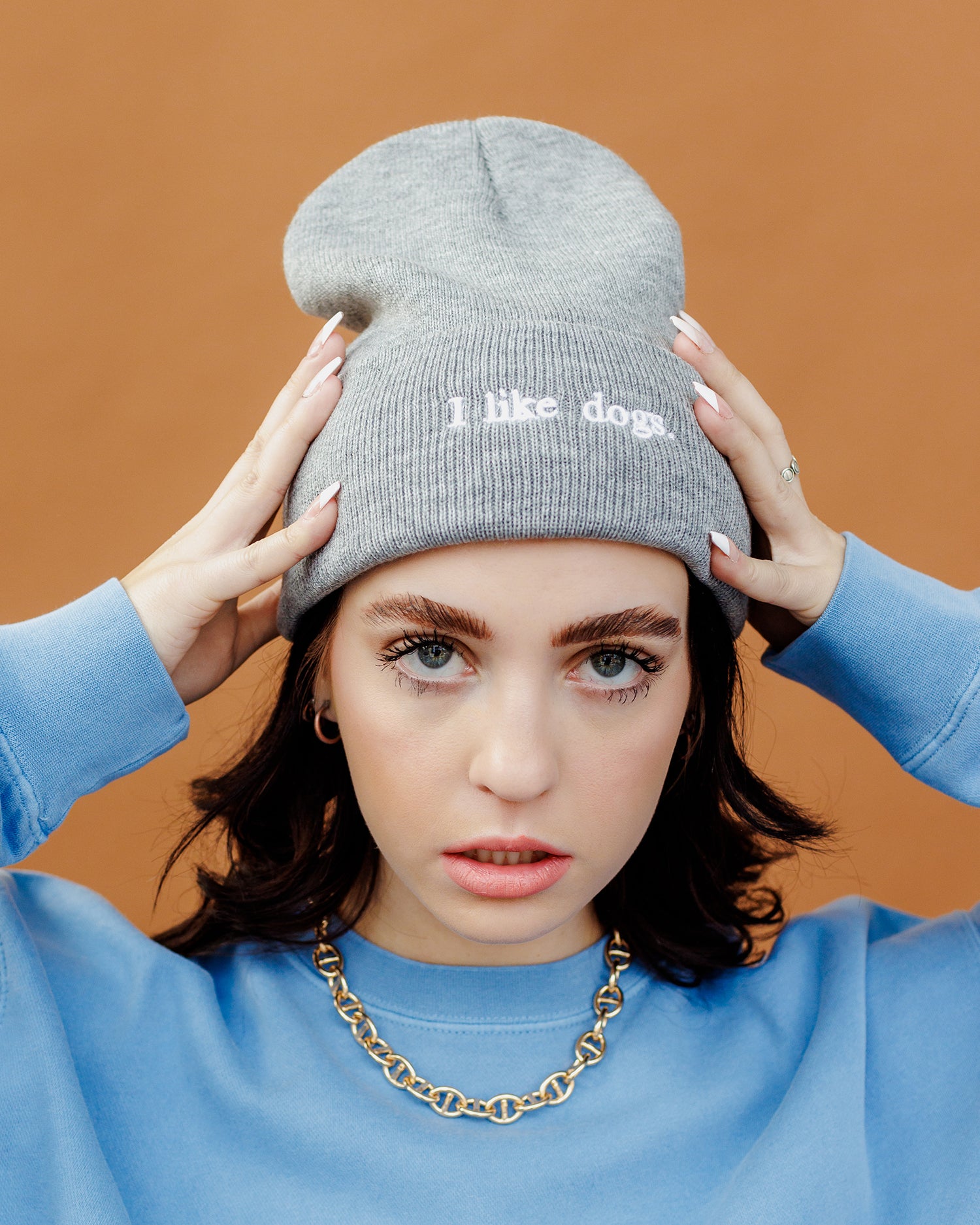 I like dogs. | Beanie | Heather Grey – Diogie