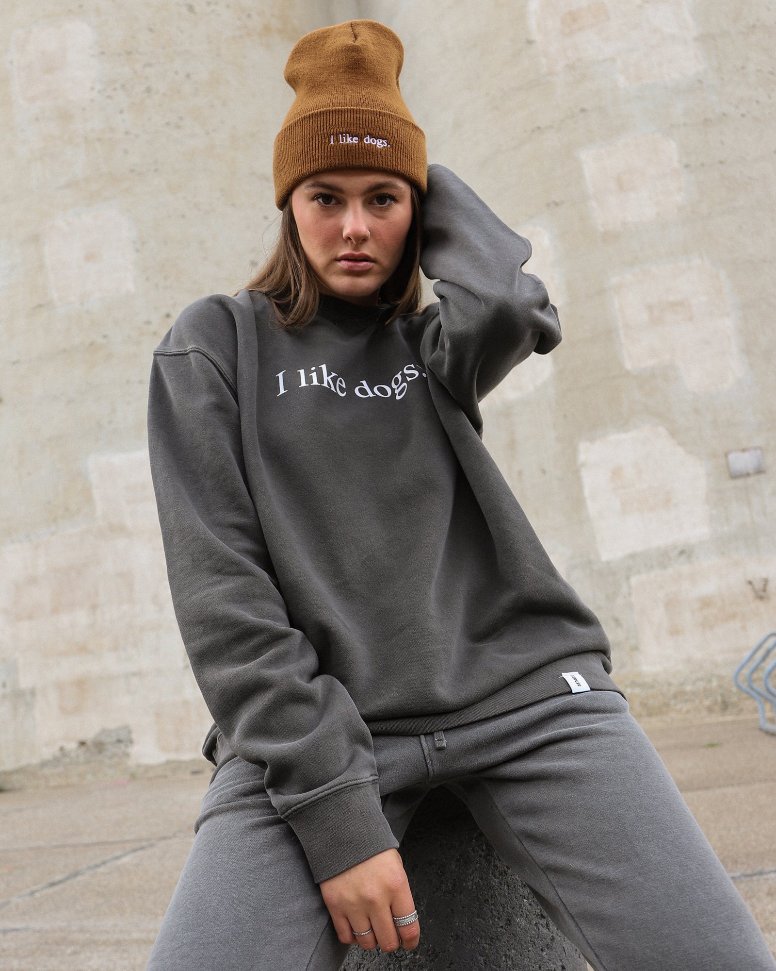 I like dogs. | Core Crewneck | Faded Black | Unisex – Diogie