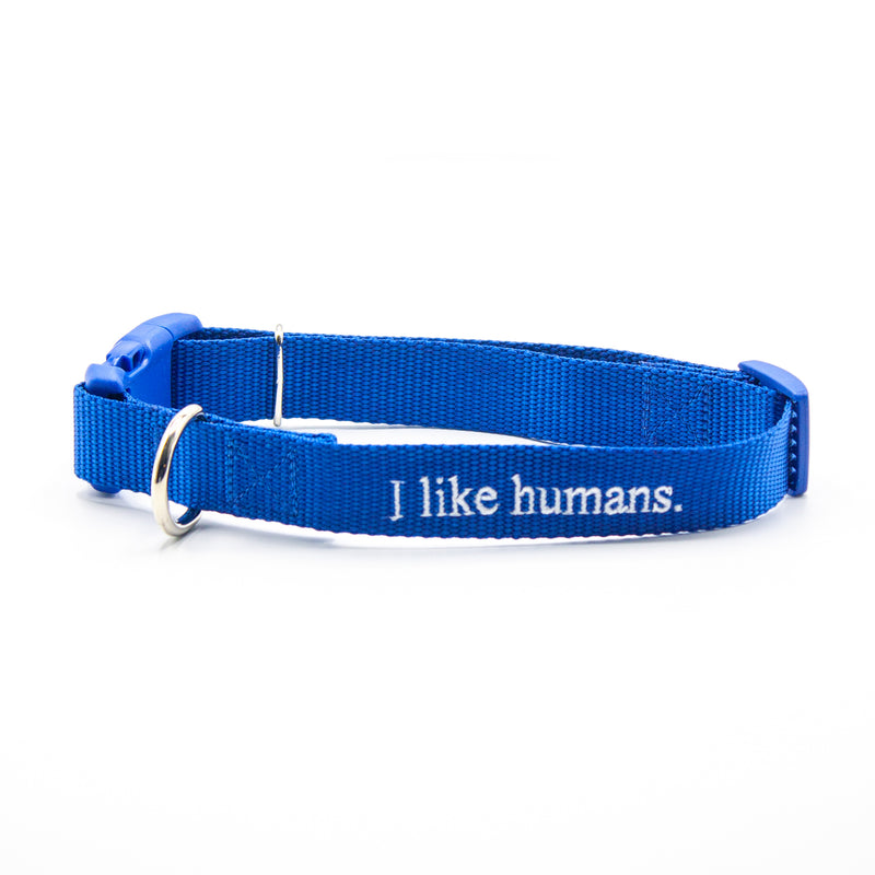 I like humans. | Dog Collar | Blue