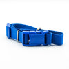 I like humans. | Dog Collar | Blue