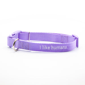 I like humans. | Dog Collar | Lavender