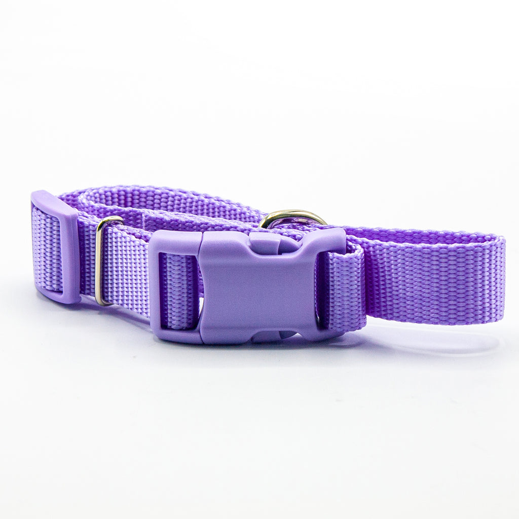 I like humans. | Dog Collar | Lavender