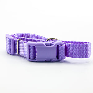 I like humans. | Dog Collar | Lavender