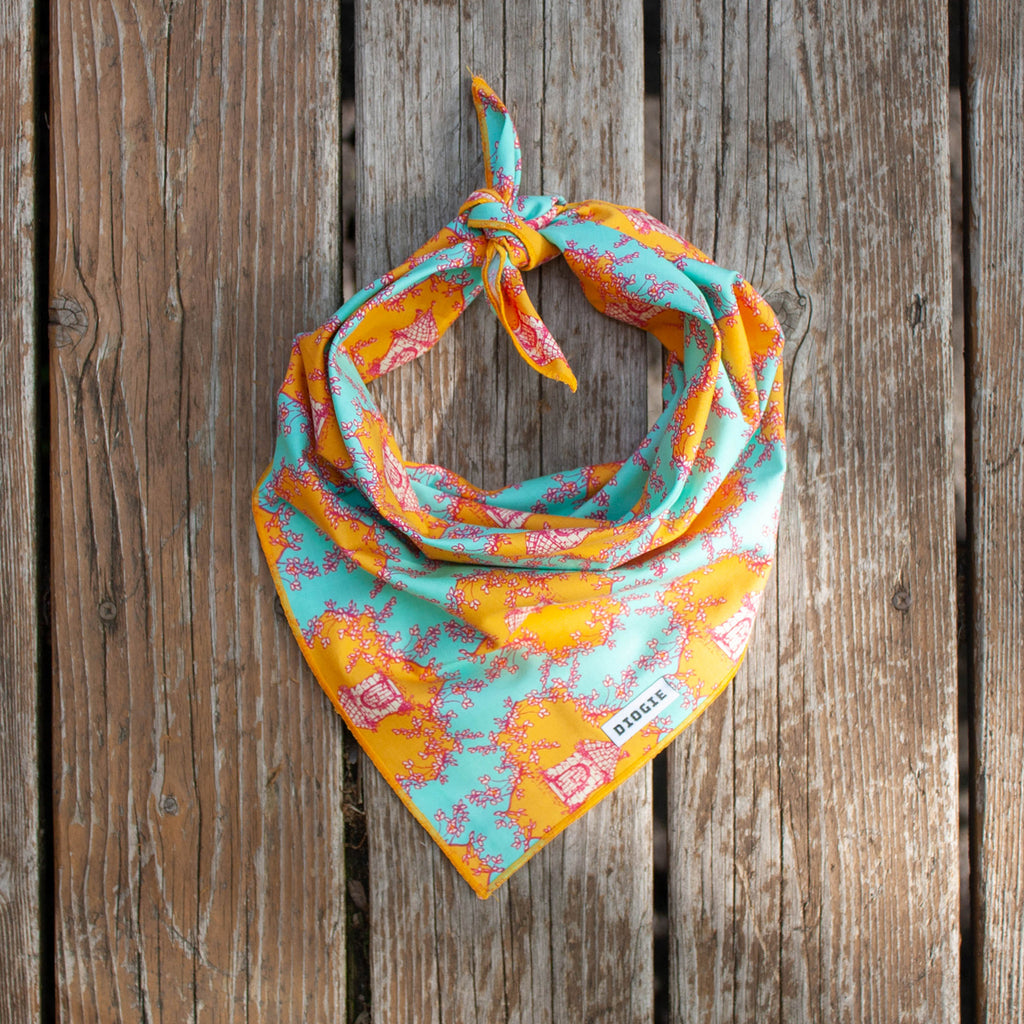 Bandana | Loud Larry