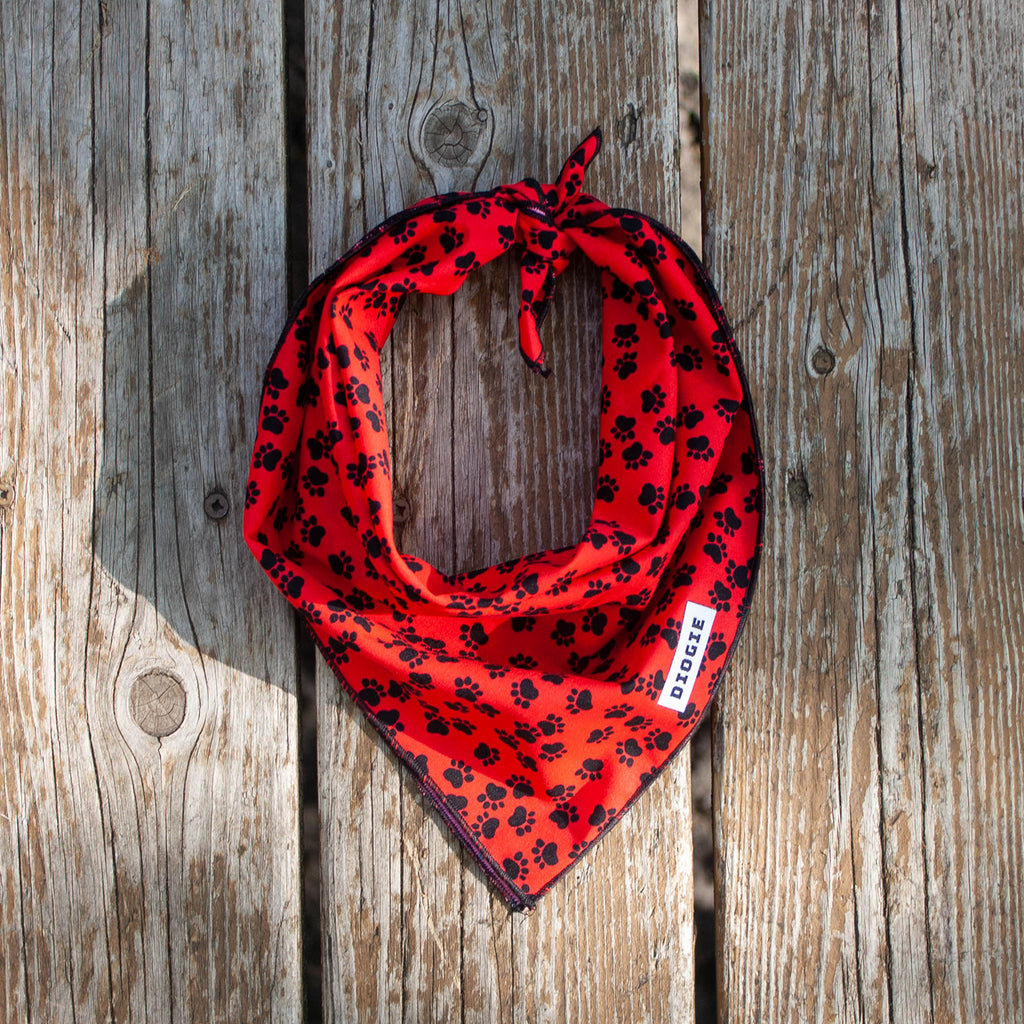 Bandana | Pause