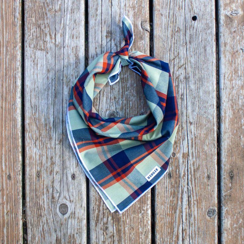 Bandana | Plaid Chad