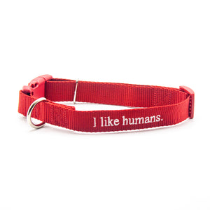 I like humans. | Dog Collar | Red