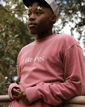 I like dogs. | Core Crewneck | Faded Red | Unisex