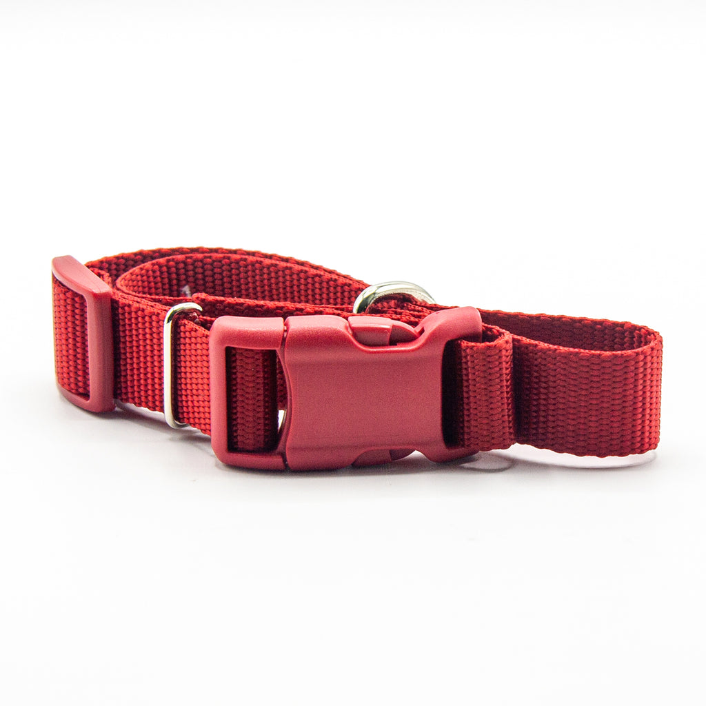 I like humans. | Dog Collar | Red