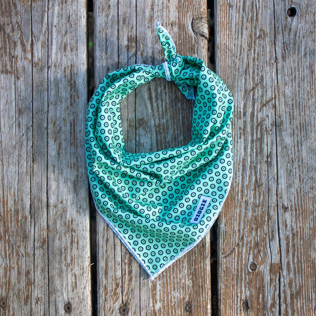 Bandana | Teal Terry
